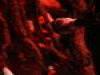 100x100-DSCN0009
